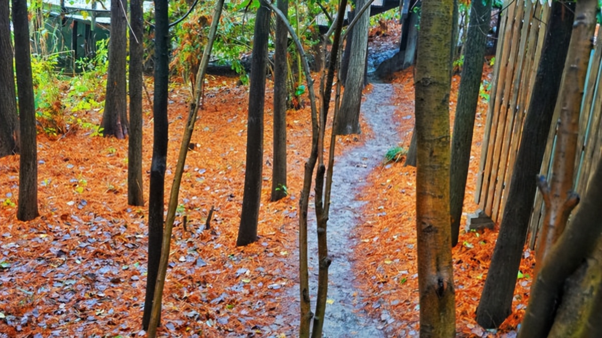 在江苏的“绿林仙海”中，寻找侠气与柔情