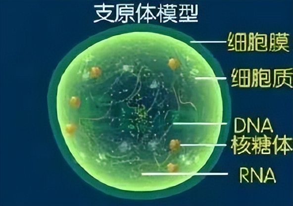 看不育不孕要禁食吗,看不孕不育要看专家吗