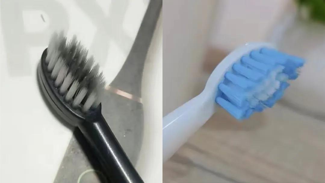 在*裤内**里加燕窝和胶原这种鬼话都说得出来？