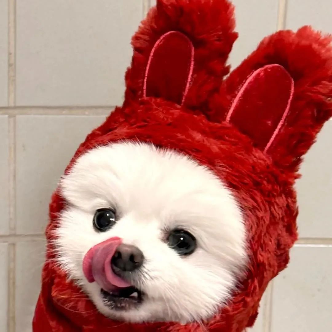 朋友圈背景图视频,朋友圈背景图怎么设置动态视频