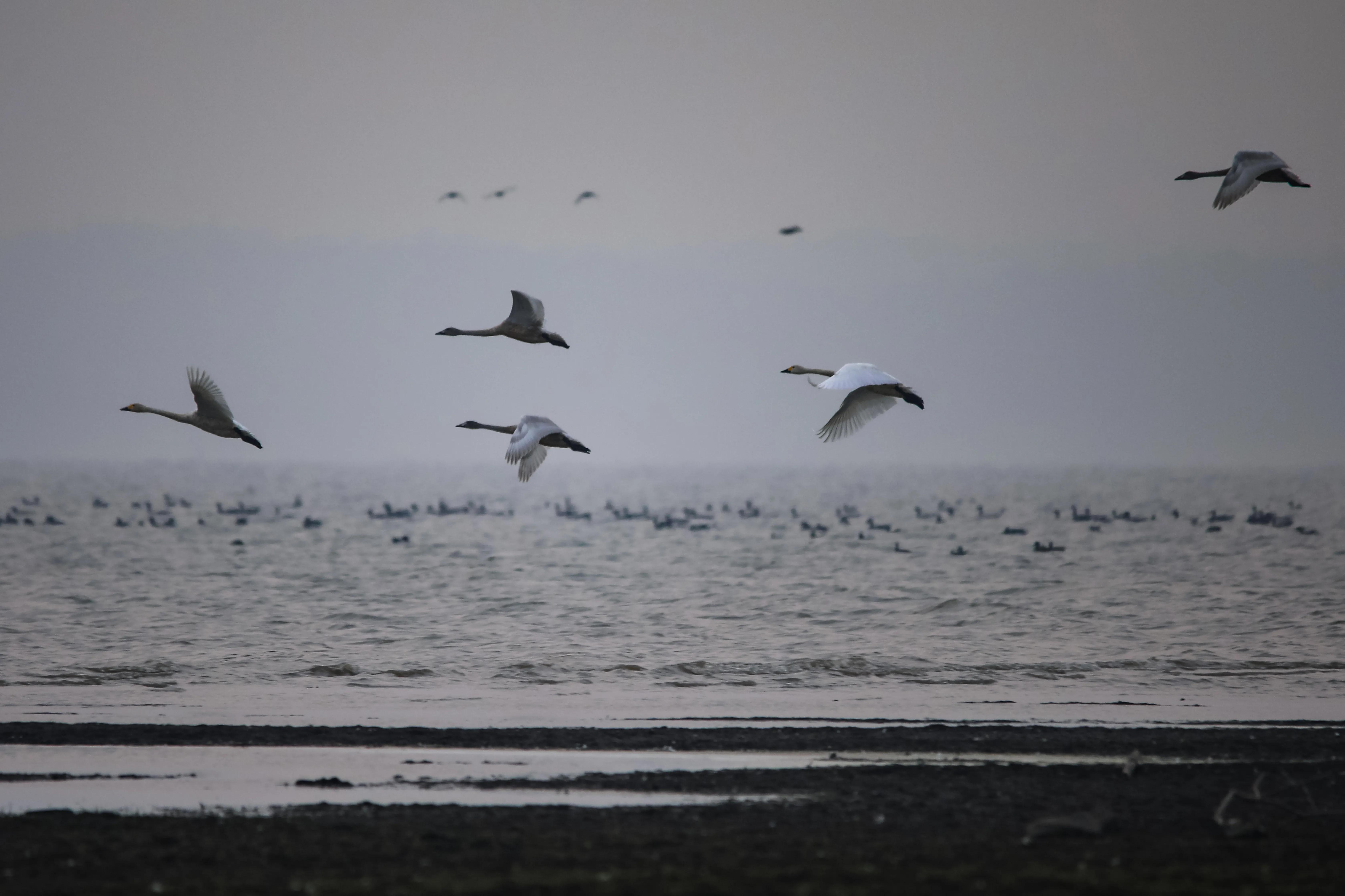 怎么样拍水流,怎么样拍水果抖音视频教程