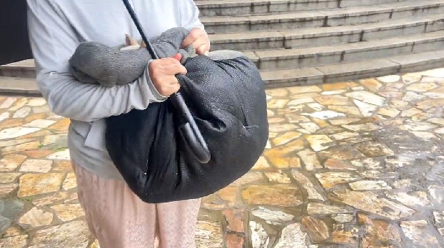 十余年的陪伴，却在台风天里被抛弃，狗狗在求助人怀里无助哀求着