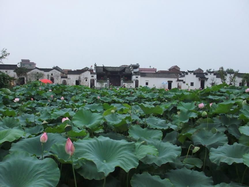 吃辣全省第一！避暑可以打满分！这个冷门小县城太上头