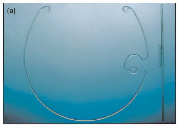 囊袋张力环的选择,囊袋张力环与预装式张力环