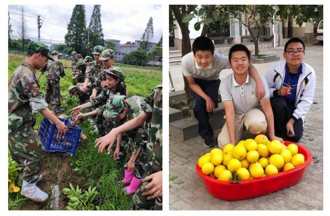 儿童友好学校文化建设视频,儿童友好学校涉及哪些方面