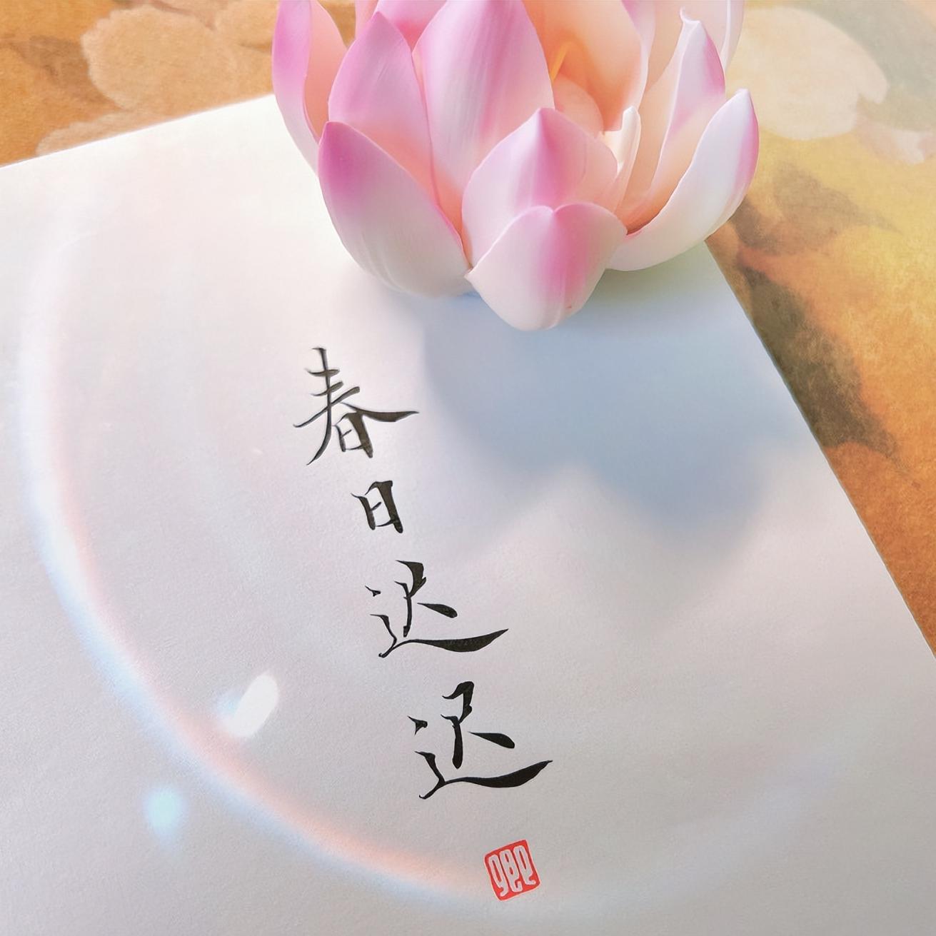 我将玫瑰藏于身后还你一生自由,我将玫瑰藏于身后带着遗憾远行