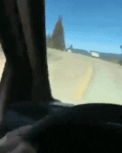 被石头划伤头有点晕,被石头磕到头流血