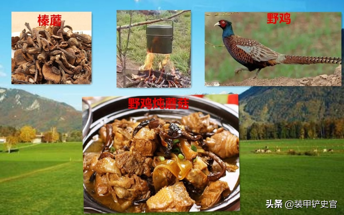 刘连仁靠什么生存,刘连仁荒野求生全集