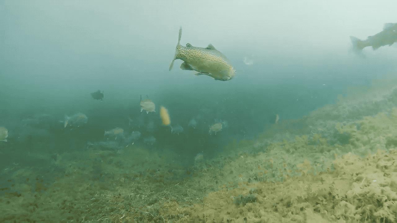 京杭大运河全线通水的意义,百年来首次京杭大运河全线通水