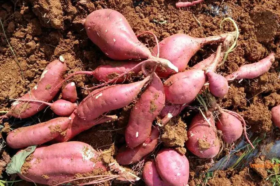 山色空蒙雨亦奇配图,山色空蒙雨亦奇航拍