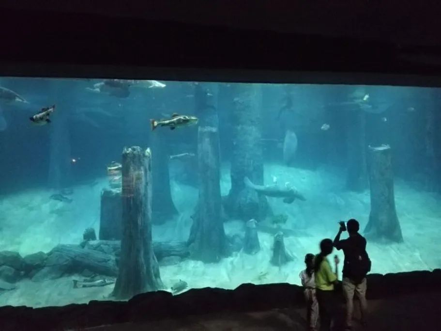 新加坡河川生态园攻略,推荐一个好地方新加坡河川生态园