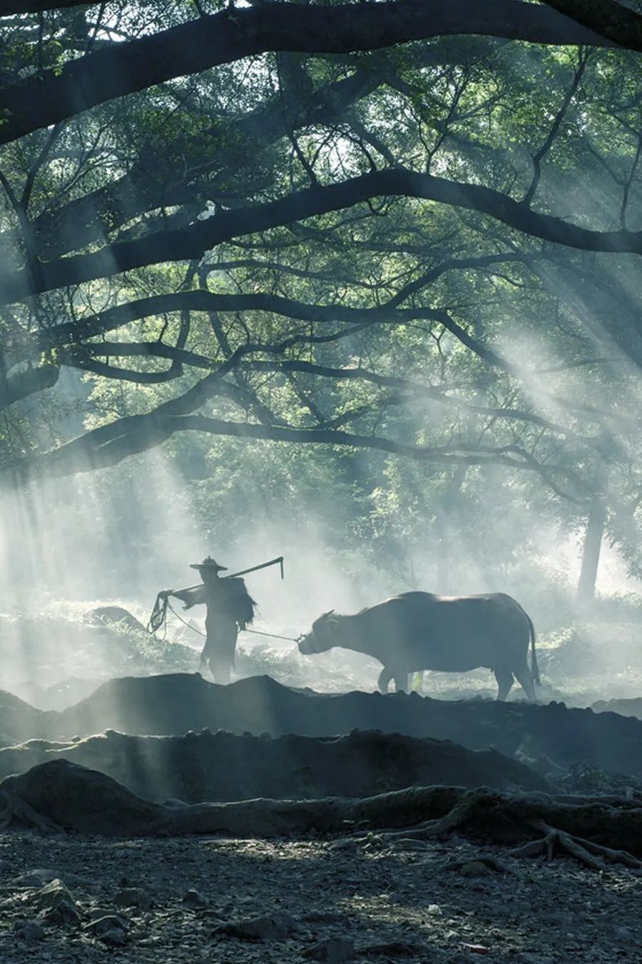 倾情荐读：时间的名字