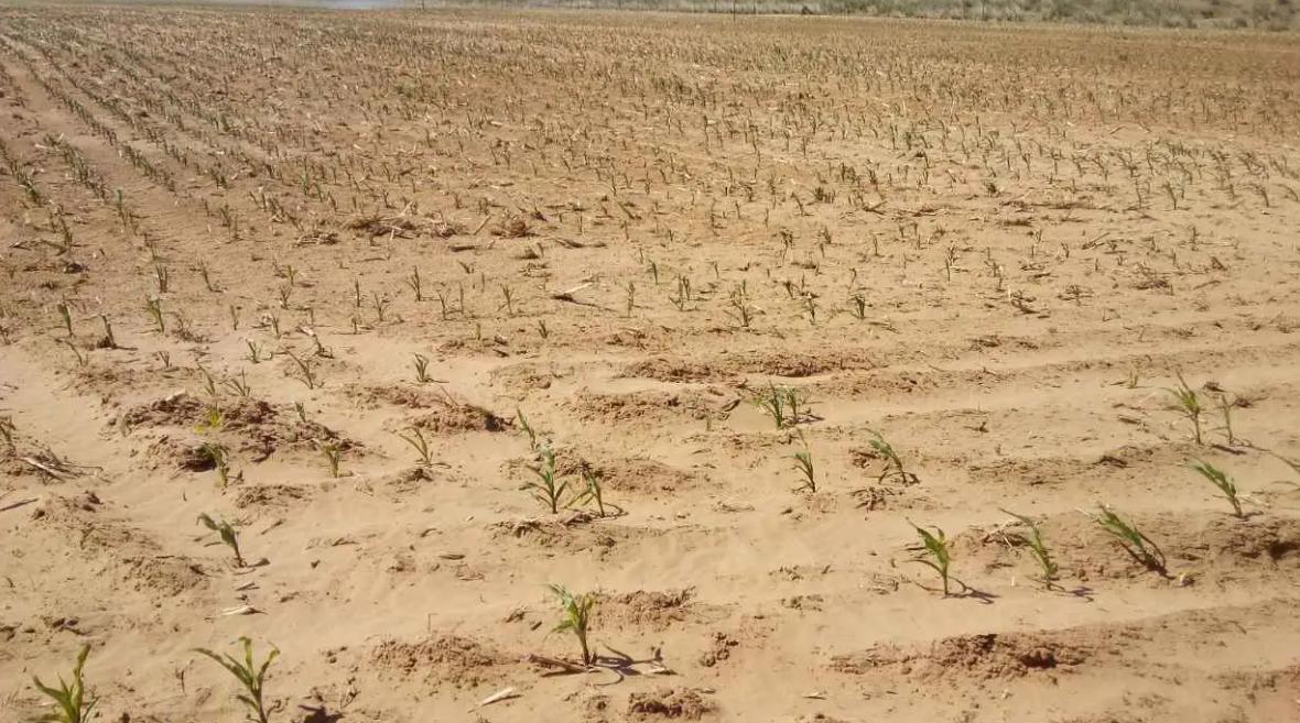 古时候闹饥荒为什么不吃动物,古代闹饥荒为什么灾民不吃鱼