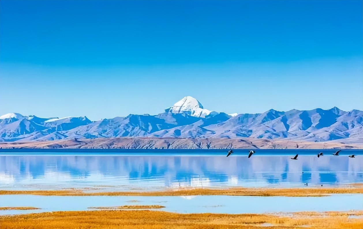 回忆贴：我在*藏西**开黑车的那七年