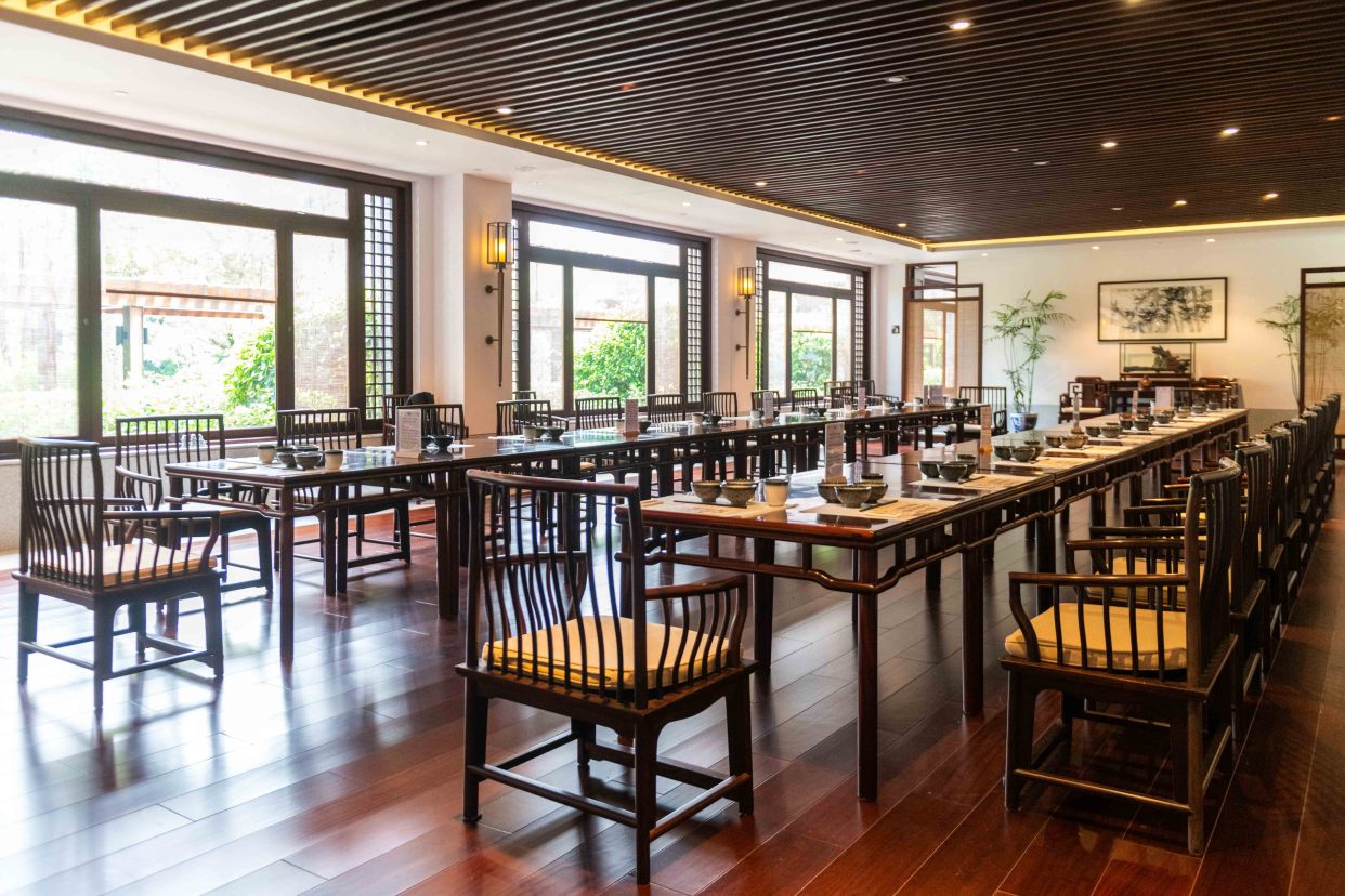 国内适合禅修的酒店,广东禅修疗愈民宿酒店