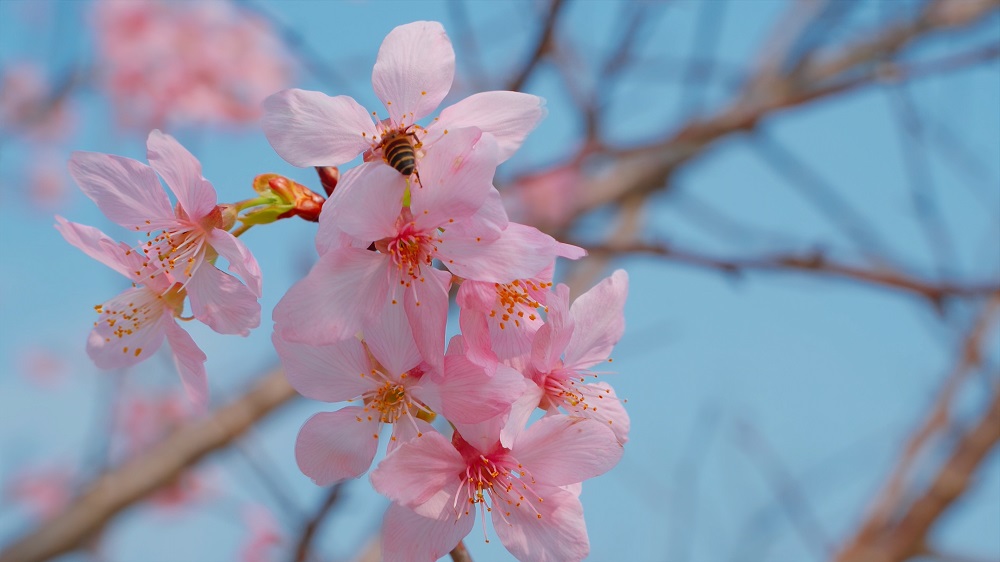 广东小桂林英德,广西英西峰林小镇