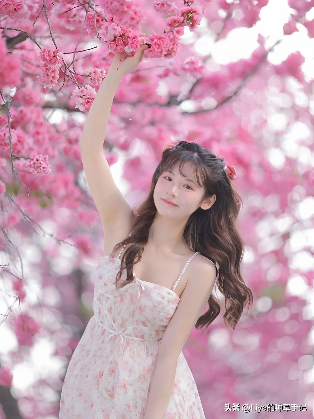 今年小个子流行的发型和颜色,2020小个子流行发型冬季发型