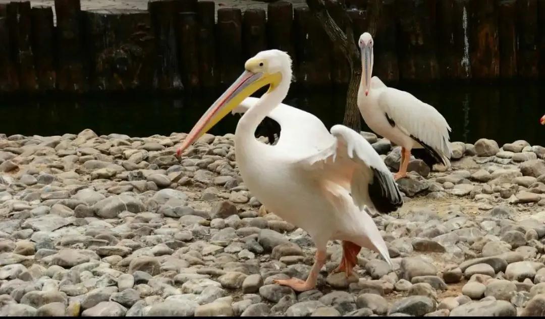 长春到大连海岛四日游价格,长春到大连六日游