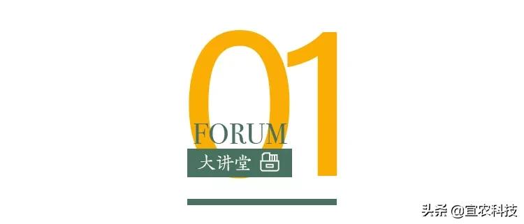 银行卡怎样预防被风控冻结,银行卡被风险保护怎么解除
