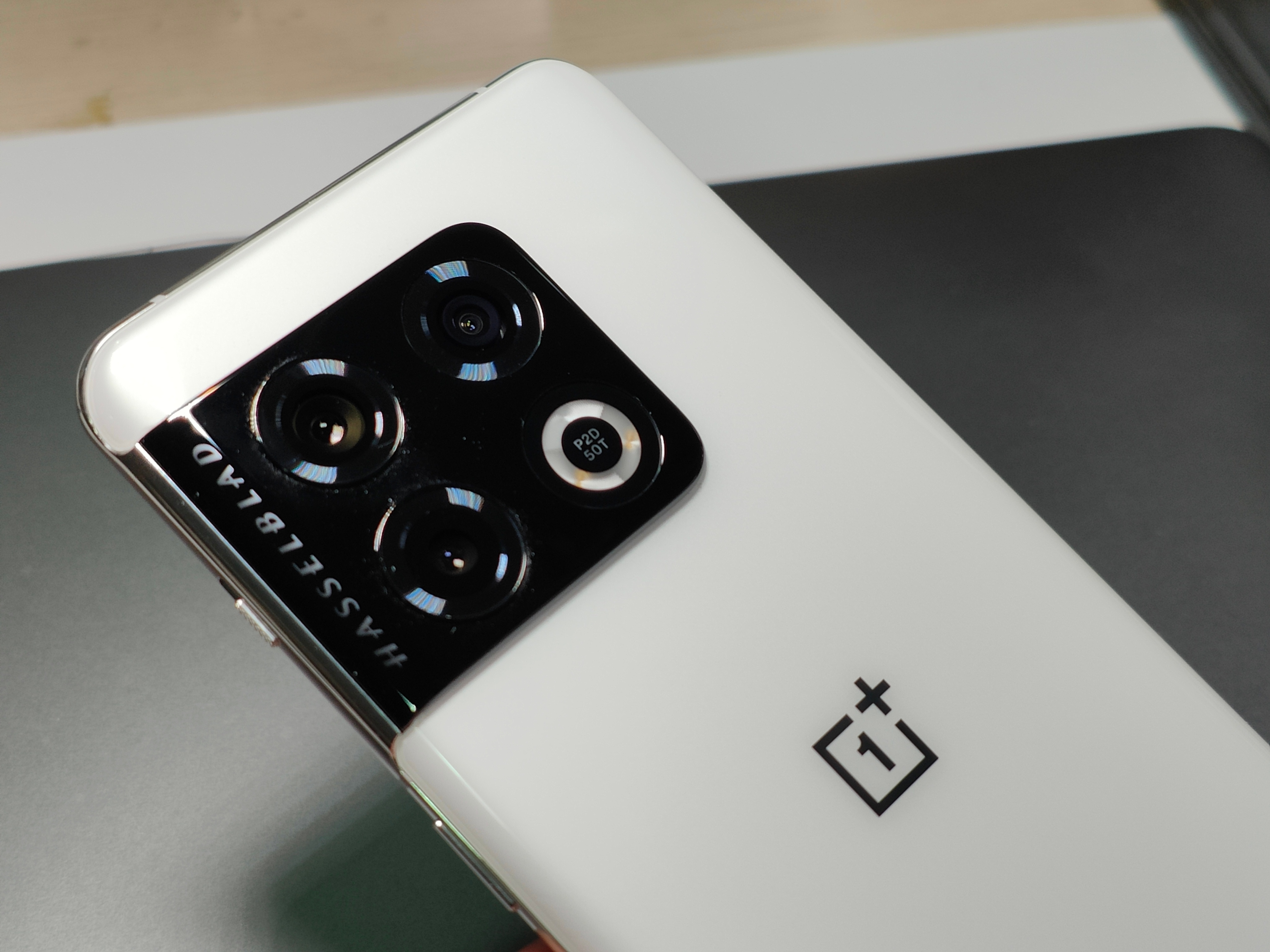 女神节礼物不二之选,女神节的礼物熊猫