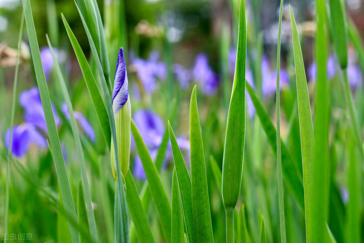 中医五行相生相克图表,倪海厦老师讲中医五行相生相克