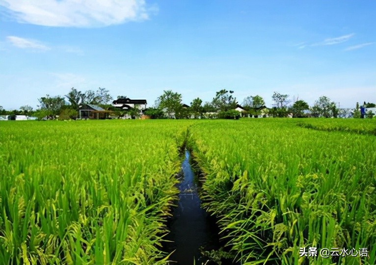 关于陆游的忧愁诗句,陆游最雄浑苍凉的一首诗