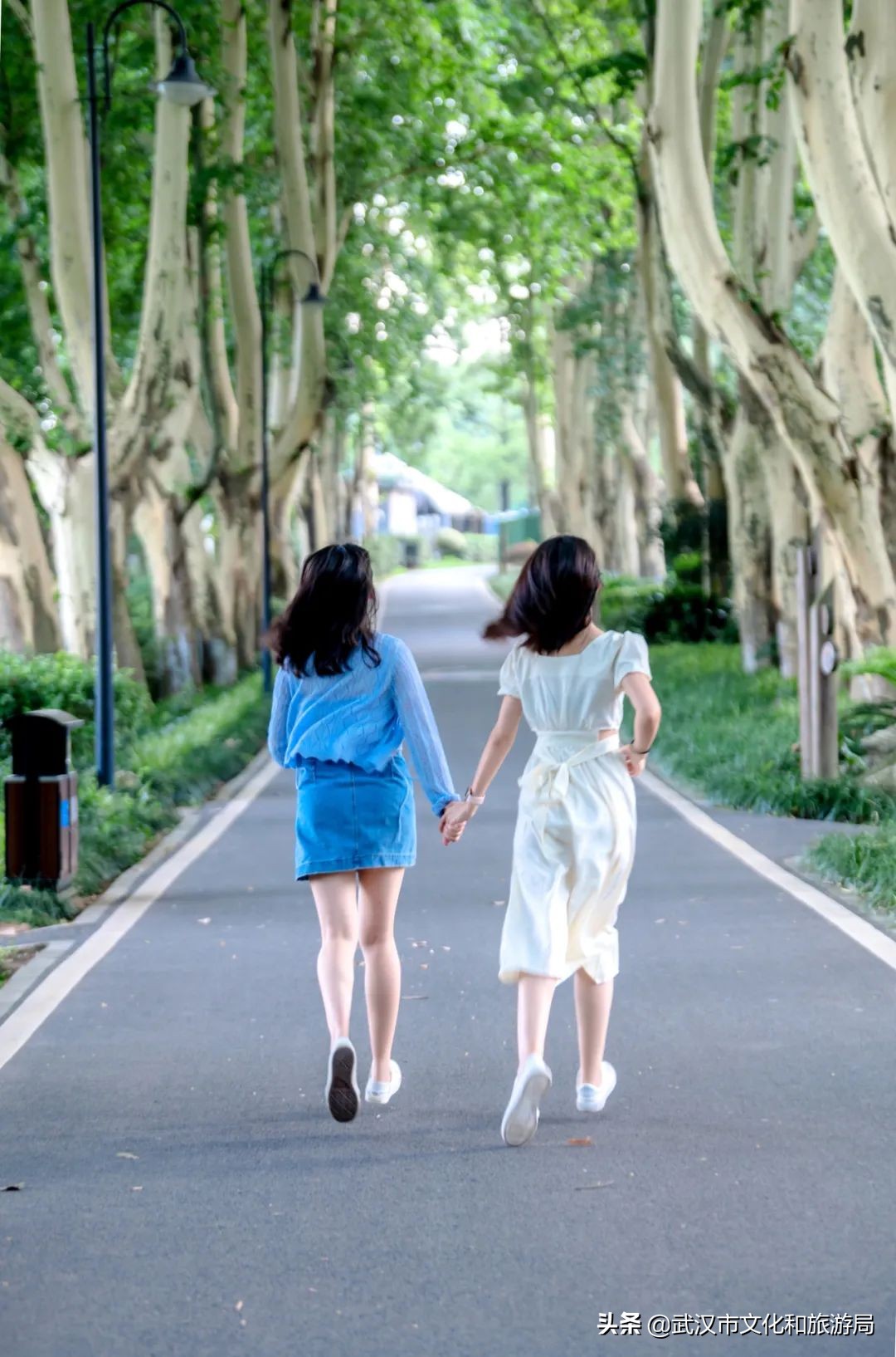 毛孩子变装,毛孩子穿上新衣服了