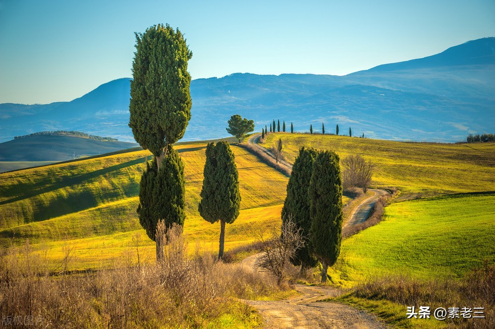 女作家去做保姆446,女作家去做保姆825