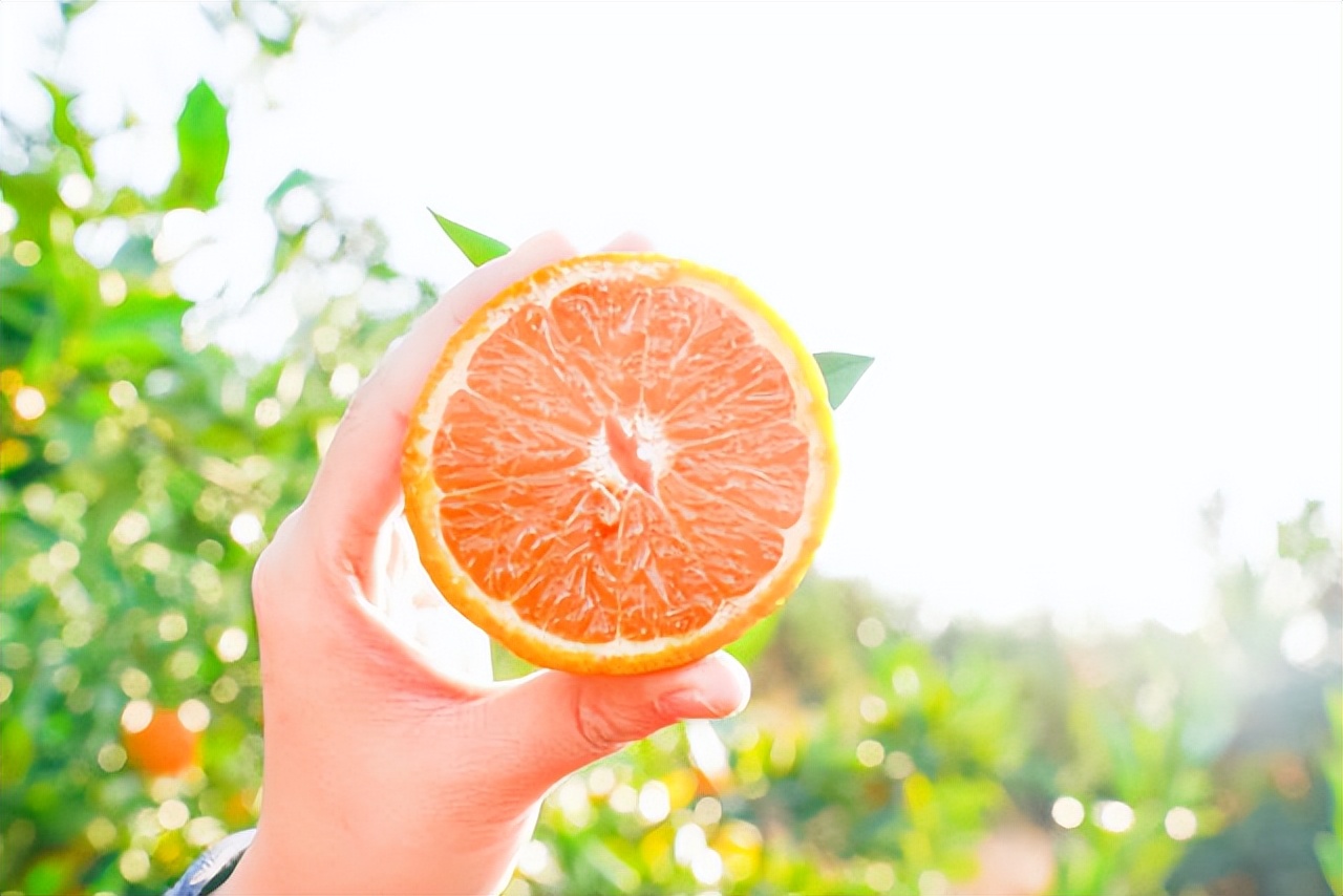 广东柑橘销售渠道,柑橘销售省份市场