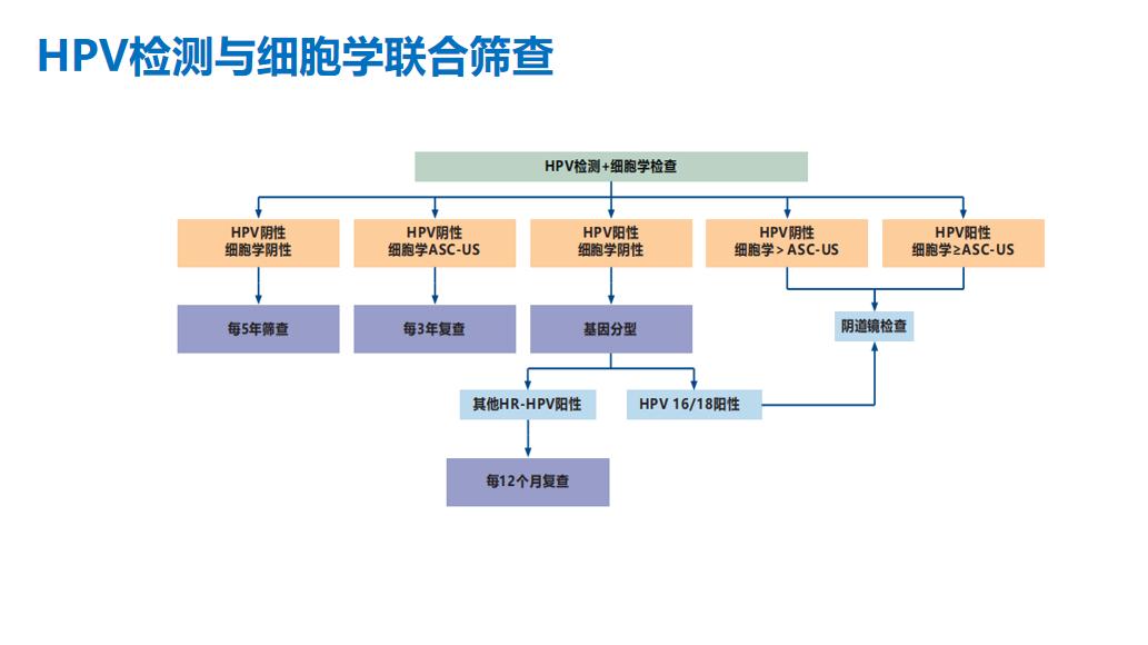 为什么检查hpv要在月经后3到7天内,为什么要检查hpv高危型