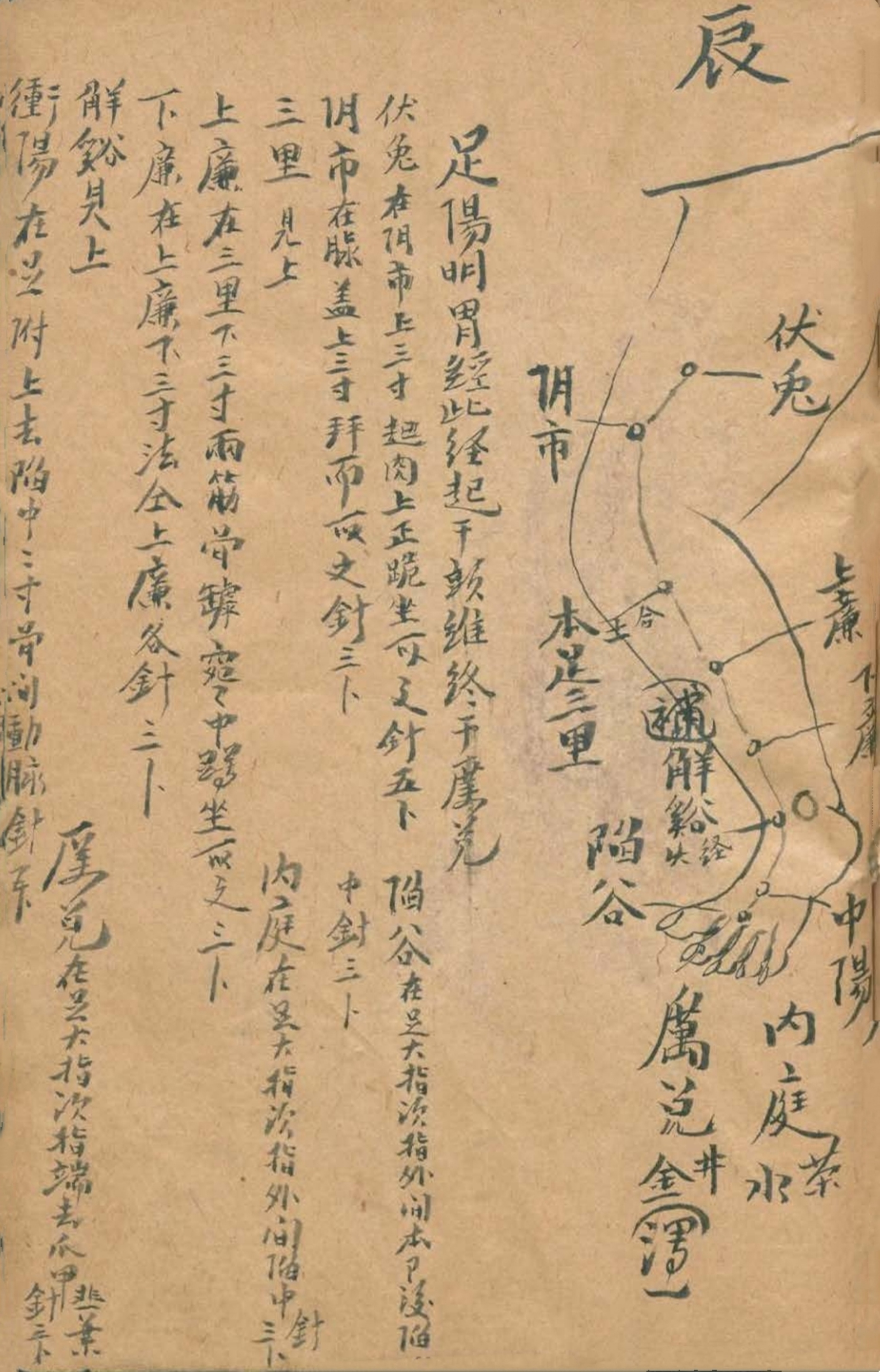 放痧疗法视频,放痧的最佳方法