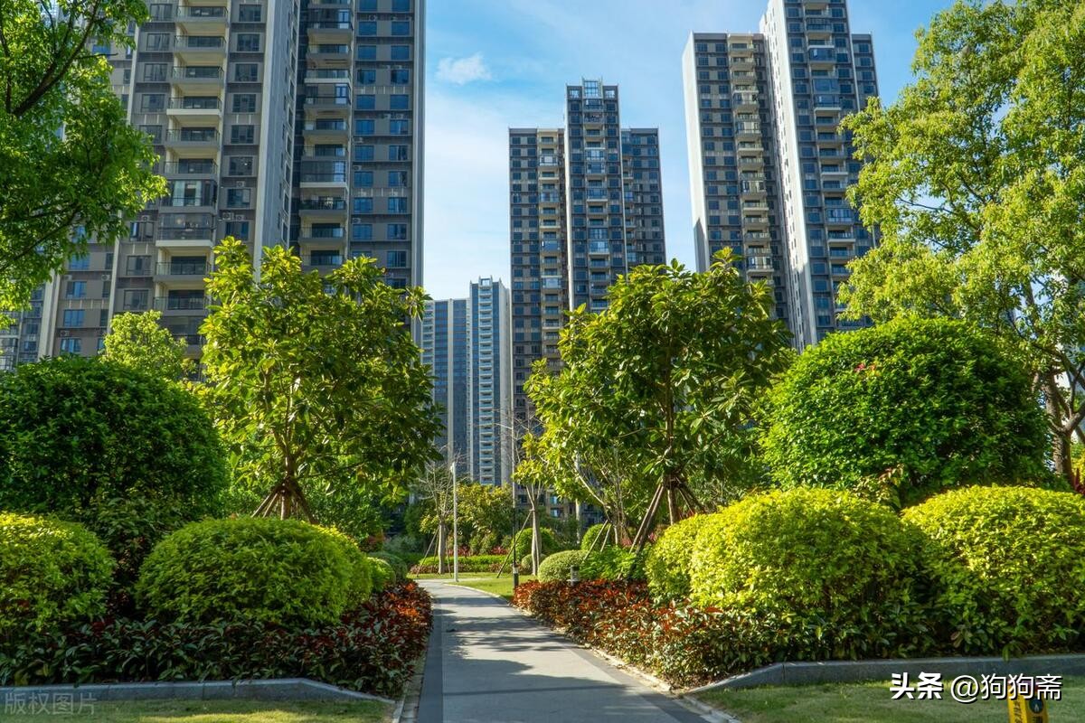 从底层开始小说,底层生活小说全集