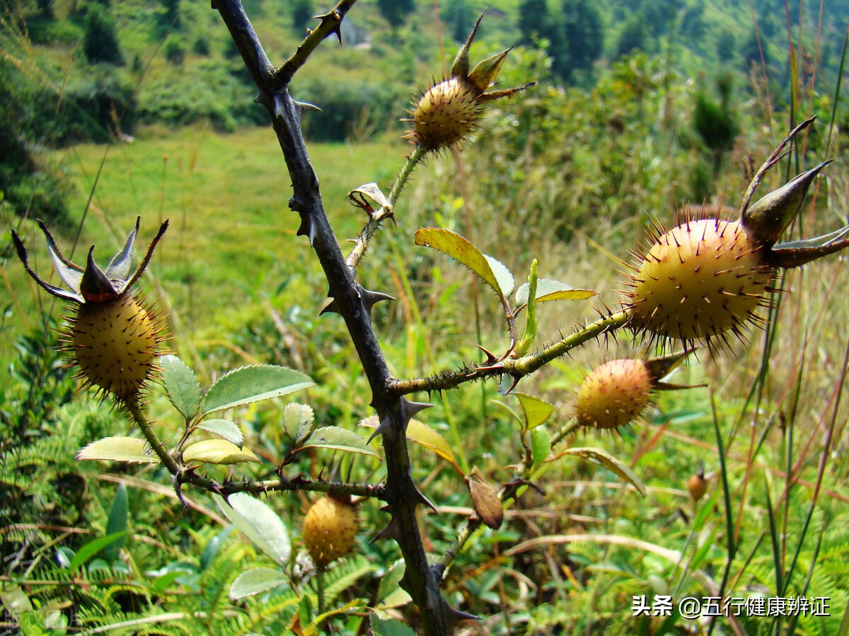 后背发凉寒湿引起的阳气怎么提升,后背发凉提升督脉阳气