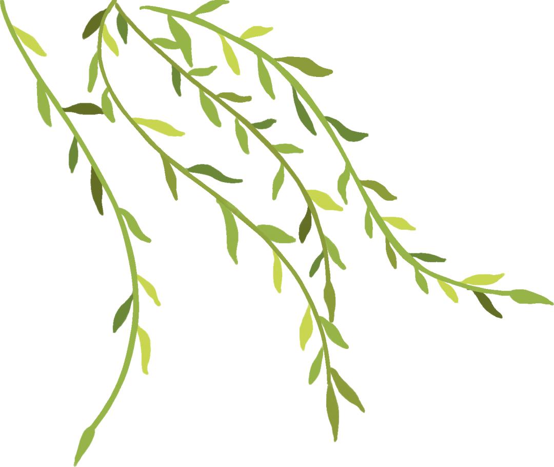 检察司法理念变革,检察变革四年