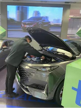 庆长风长安分公司,庆长风长安