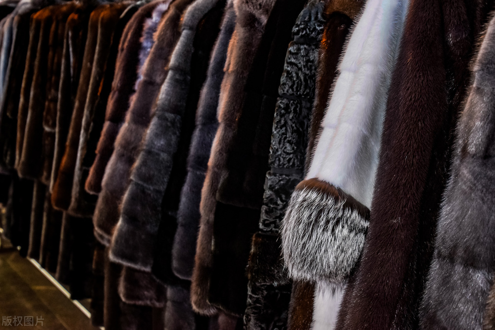 怎么知道是不是顺丰特快,怎么知道顺丰快递到哪了