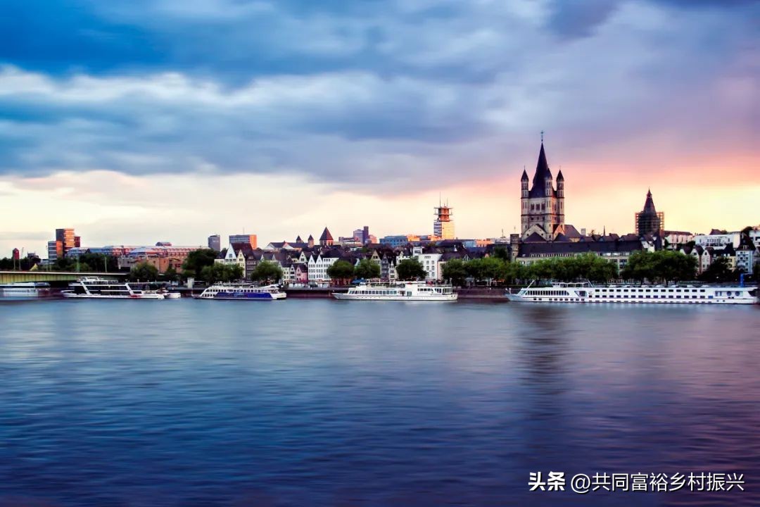 以数字经济助力乡村产业振兴案例,基层党建引领乡村振兴主要案例