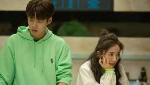 内娱报道杨幂,内娱2011年杨幂