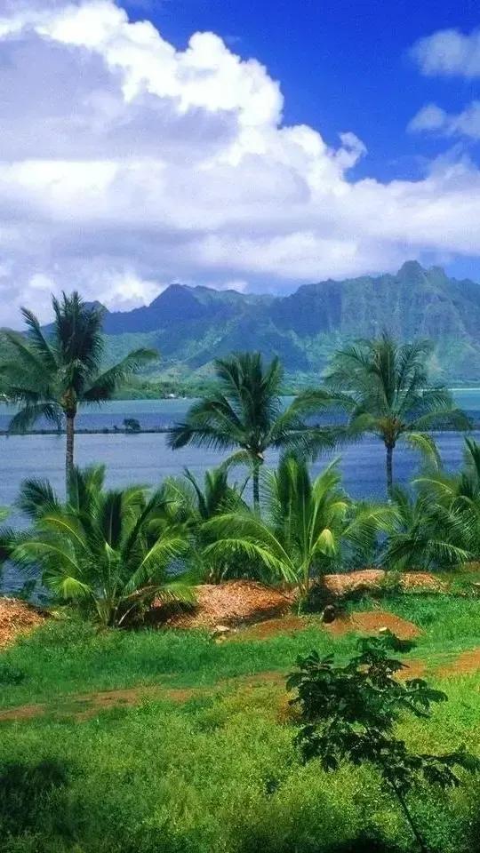 2022年壬寅年虎年日历表,2022年壬寅年开始走甲戌大运