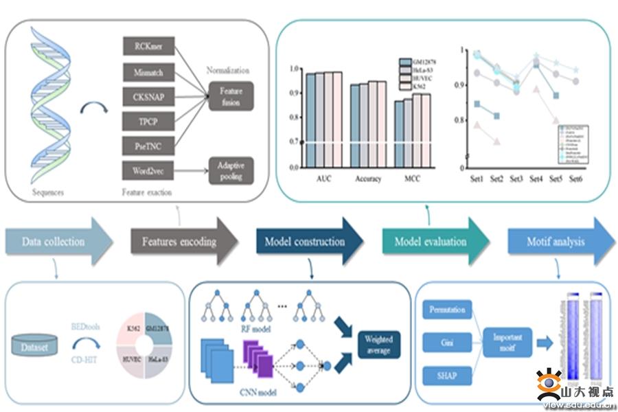 您的SDU学术一览，请及时签收！