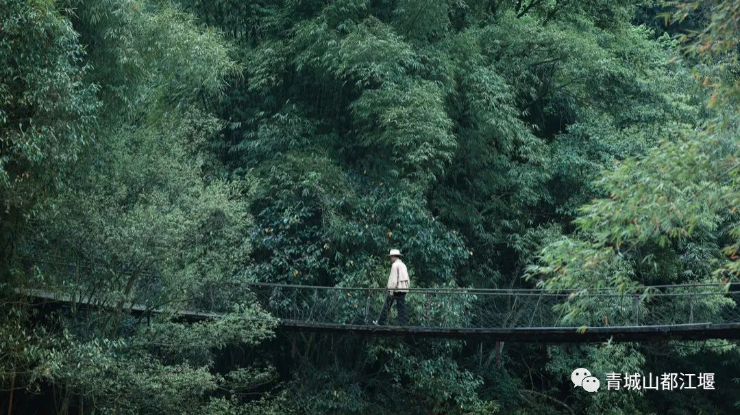 好评率99%！这个深得“特种兵”们青睐的小镇，深山觅静寺、秘境探幽意，私藏了整个夏日的色彩～