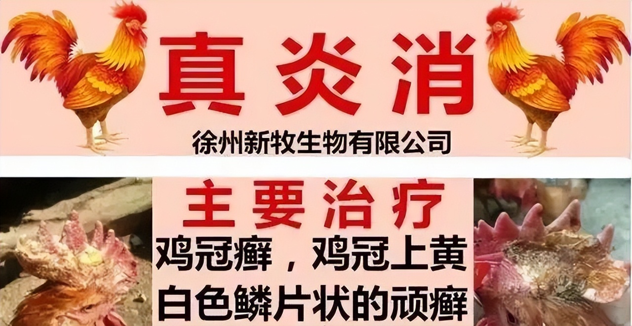鸡冠癣病毒感染用什么药治,鸡长鸡冠癣的最佳治疗方法