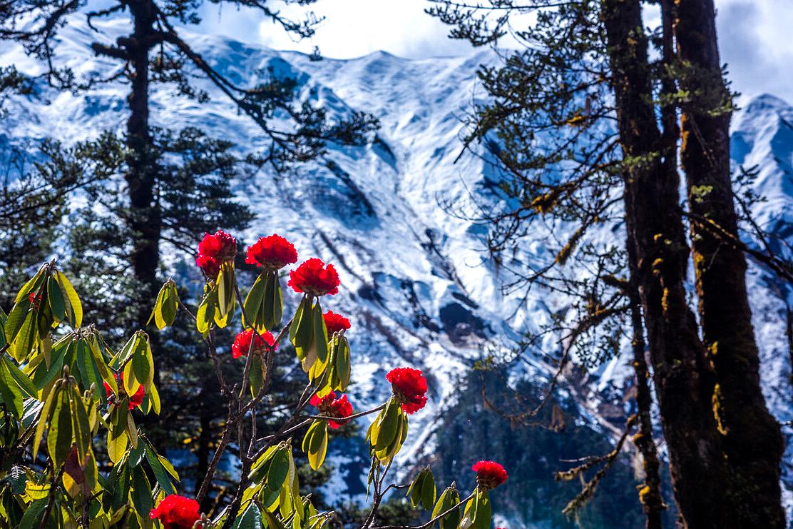 中国这俩颇具传奇的县均为极边之地，绝美风景都在去往县城的路上