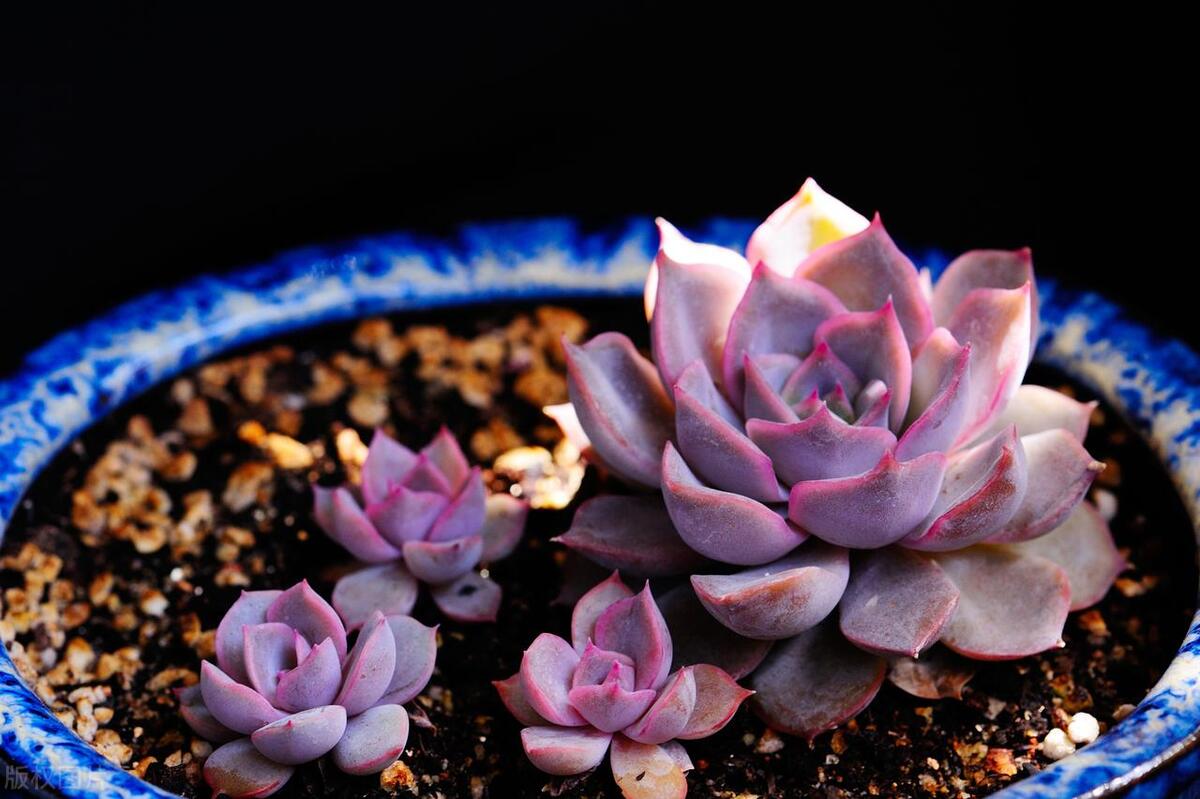 反诈电话提醒是真是假,电话智能反诈功能