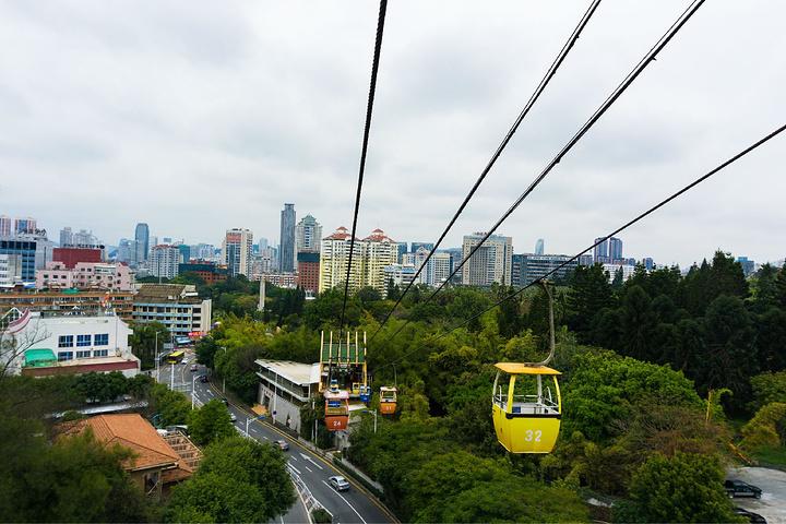 厦门带孩子去哪里玩,厦门带女朋友去哪里玩