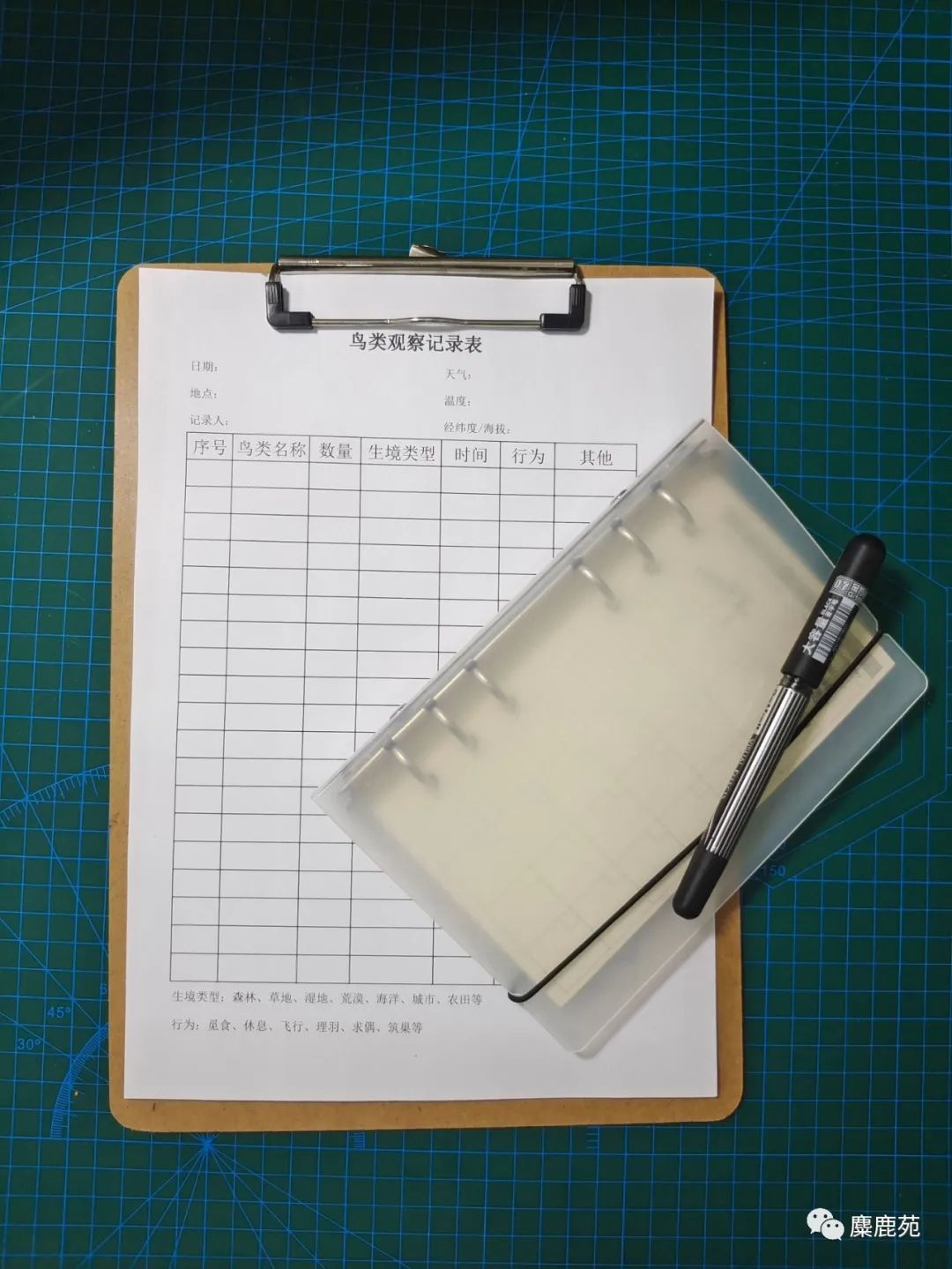 鸟类小课堂,鸟类科普教学