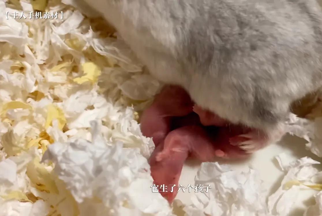 初来乍到请多安慰,初来乍到请多关照音频