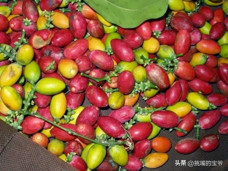 马来西亚特别推荐的水果,华人在马来西亚所占的比例