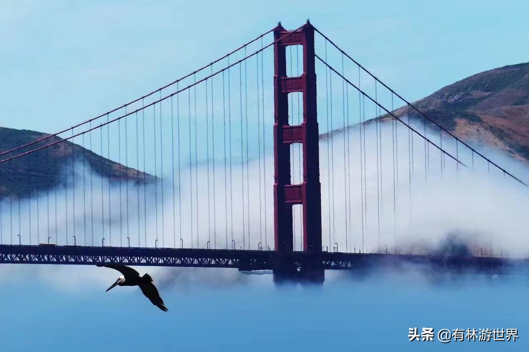 为什么导游要带你自费和进购物店