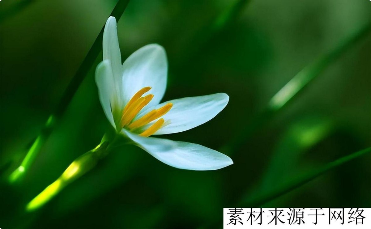 家里有亲人过世三年的禁忌,过世父亲的遗物留不留